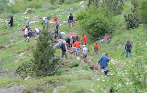  Vue d ensemble du chantier de la rigole principale